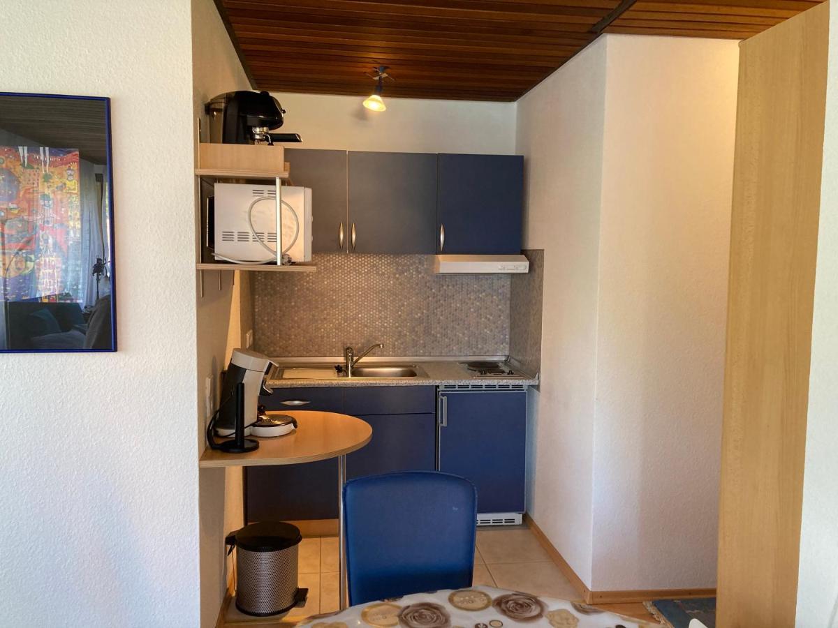Apartmán Haus Sonne Todtmoos Exteriér fotografie
