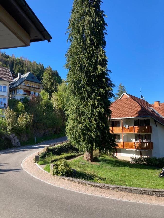 Apartmán Haus Sonne Todtmoos Exteriér fotografie
