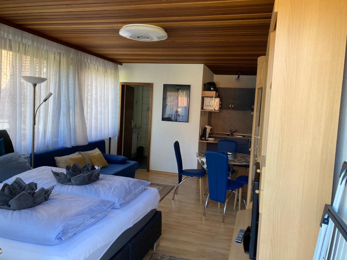 Apartmán Haus Sonne Todtmoos Exteriér fotografie