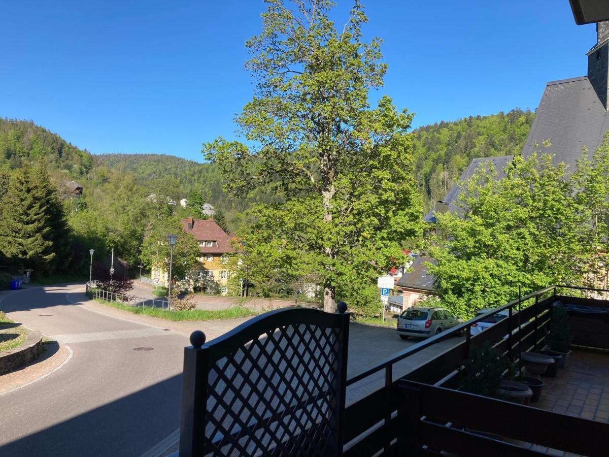 Apartmán Haus Sonne Todtmoos Exteriér fotografie